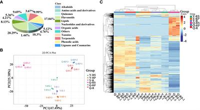 Widely targeted metabolome profiling of different plateau raspberries and berry parts provides innovative insight into their antioxidant activities